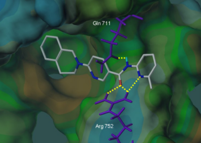 Structure-Based Design of Nicotinamides as a Novel Class of Androgen Receptor Antagonists for Prostate Cancer